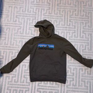 Patagonia Men's Green Hoodie